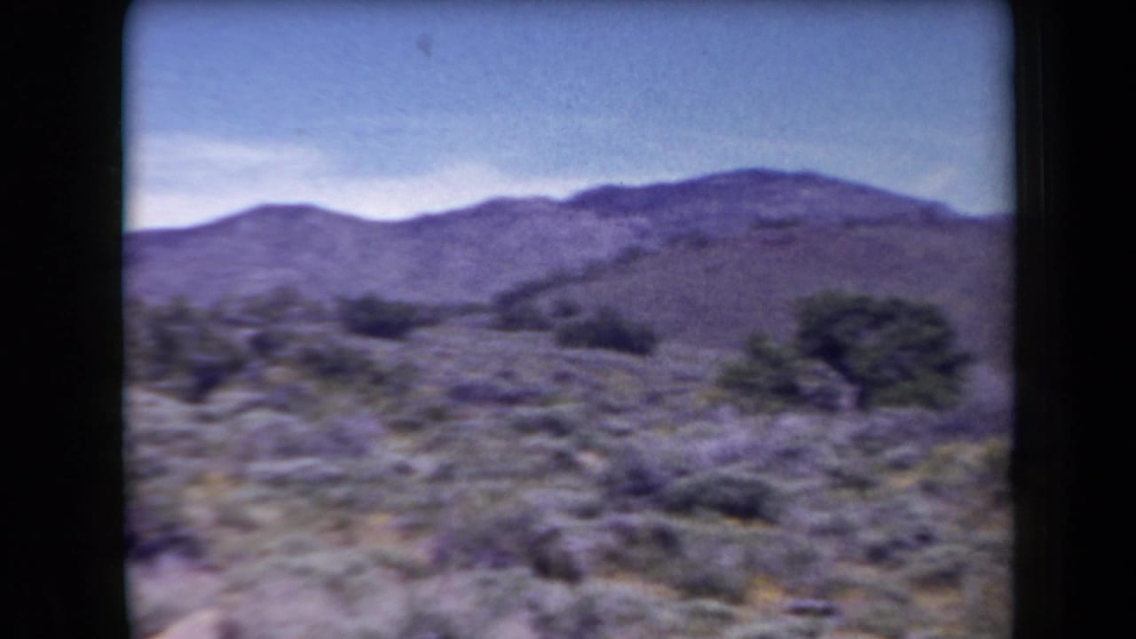 Arizona 1958 landscape view of scrubby desert terrain, scattered trees, and low mountains under a blue sky.