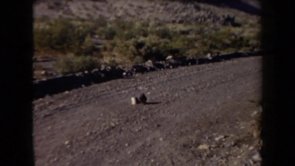1958 Arizona 8mm frame looking across rocky ground, sparse brush, and a distant mountain slope within dark film edges.