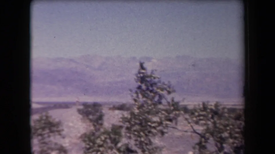 1958 Arizona desert road view with a light-colored car, roadside shrubs, broad arid terrain, and distant mountains under a pale sky.