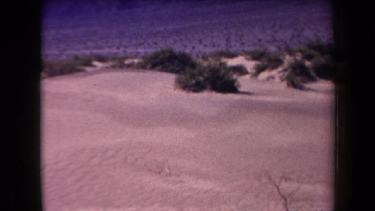 Low sand dunes with scattered shrubs and open desert beyond.
