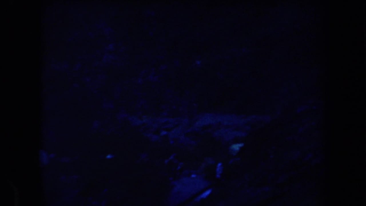 Dark blue night view with indistinct parked vehicles and campsite shadows.