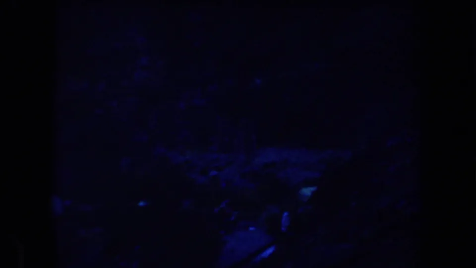 Blue-toned 1958 Arizona night frame with faint parked vehicles and campsite forms under deep shadow.