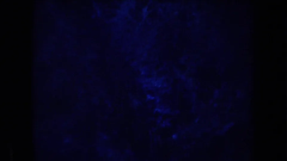 Blue-tinted home-movie frame from Arizona showing a dark textured mountain or brush-covered slope at night.