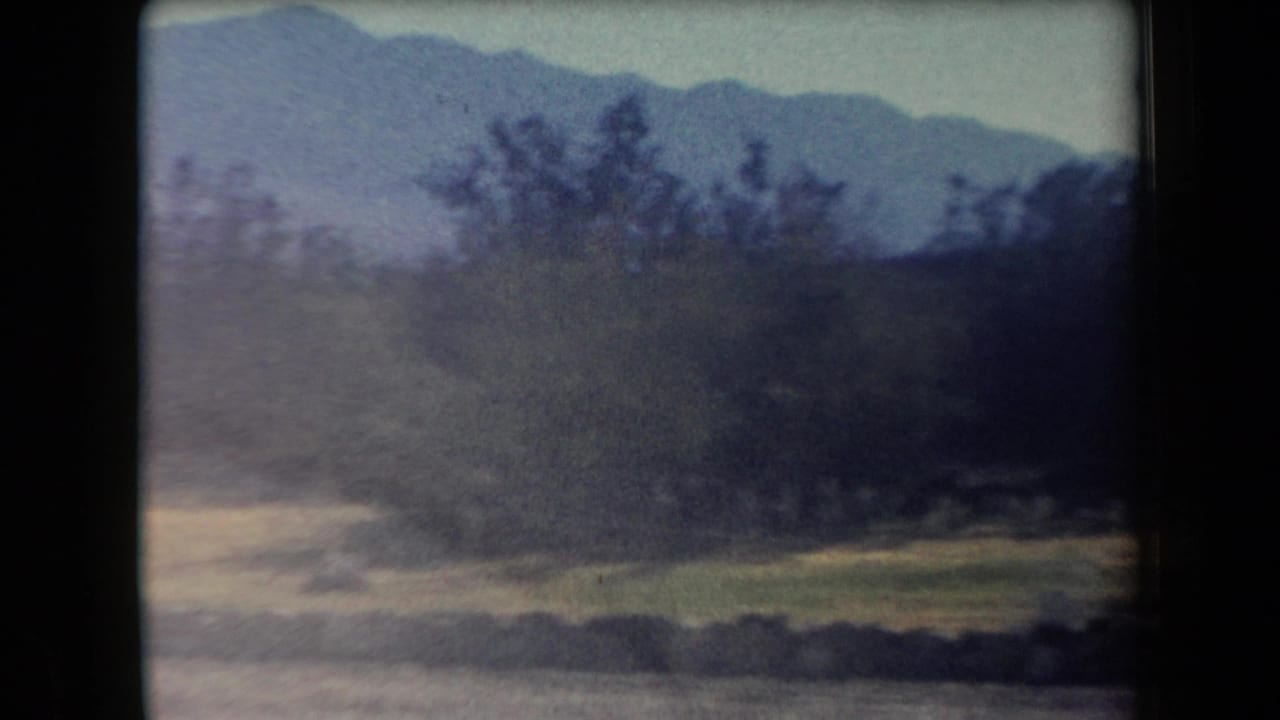 1958 Arizona home-movie frame showing a hazy desert roadside, scattered trees, low stone wall, and distant mountains.