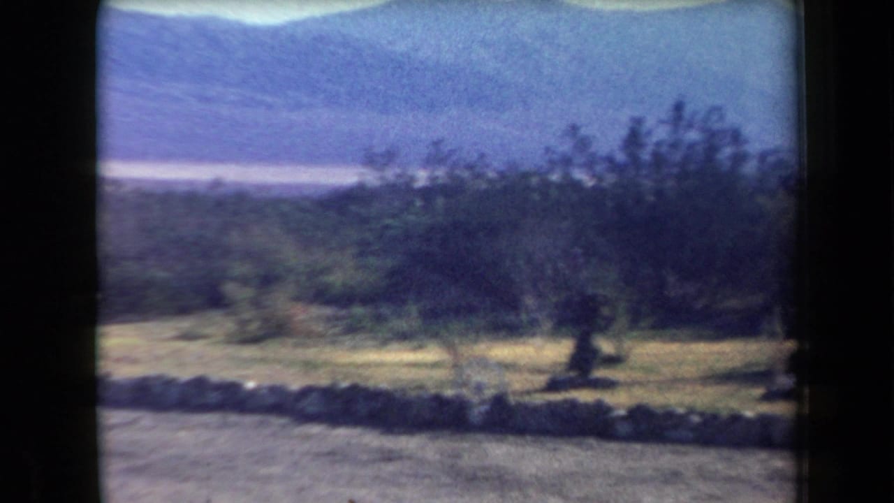 Arizona desert roadside view with a low stone wall, scattered trees, scrubland, and blue mountains in the distance.