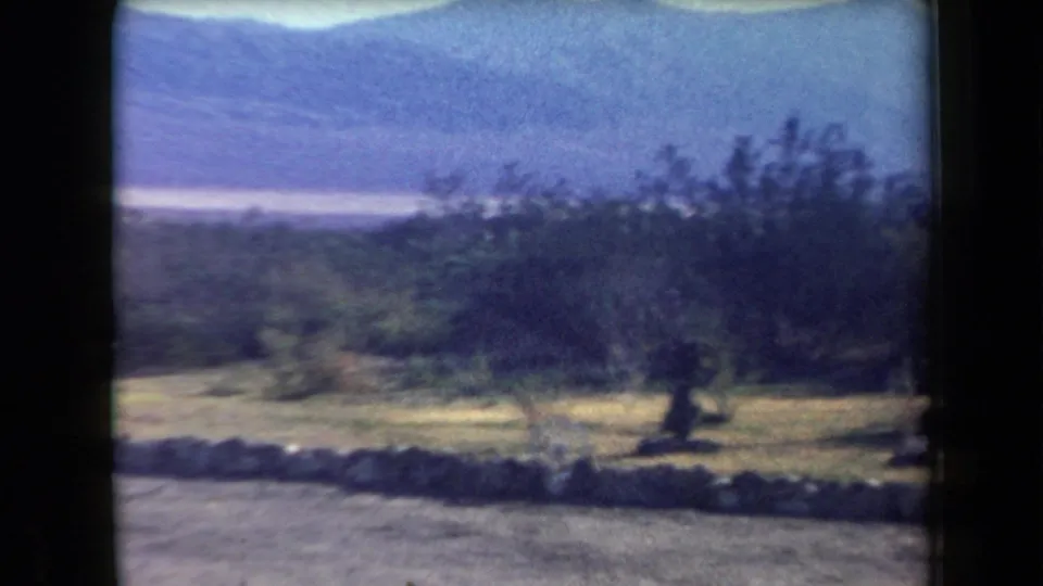 Arizona desert roadside view with a low stone wall, scattered trees, scrubland, and blue mountains in the distance.