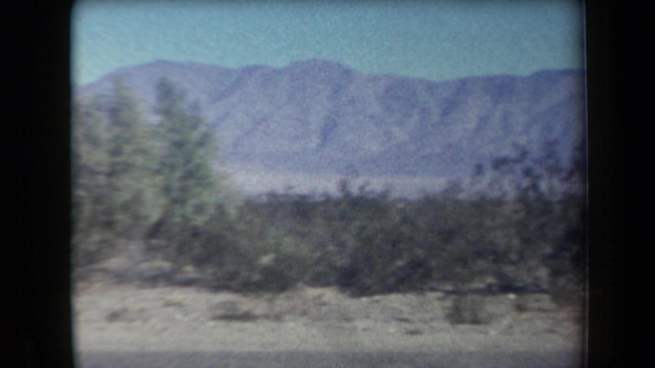 Blurred desert vegetation in front of a mountain range and blue sky.