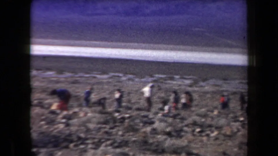 Several people are spread across the Arizona desert terrain, bending and standing as they work near the ground below distant mountains.