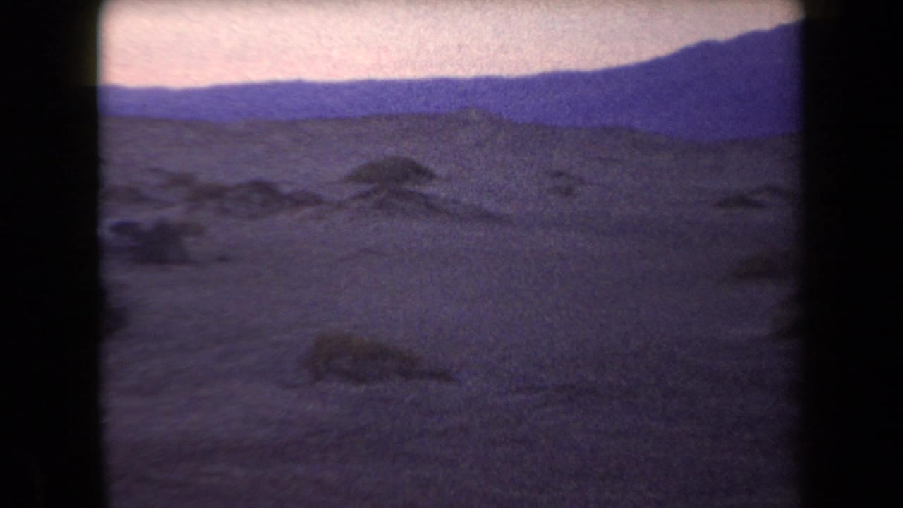 Desert plain with low mounds and a dark mountain ridge under a pale sky.