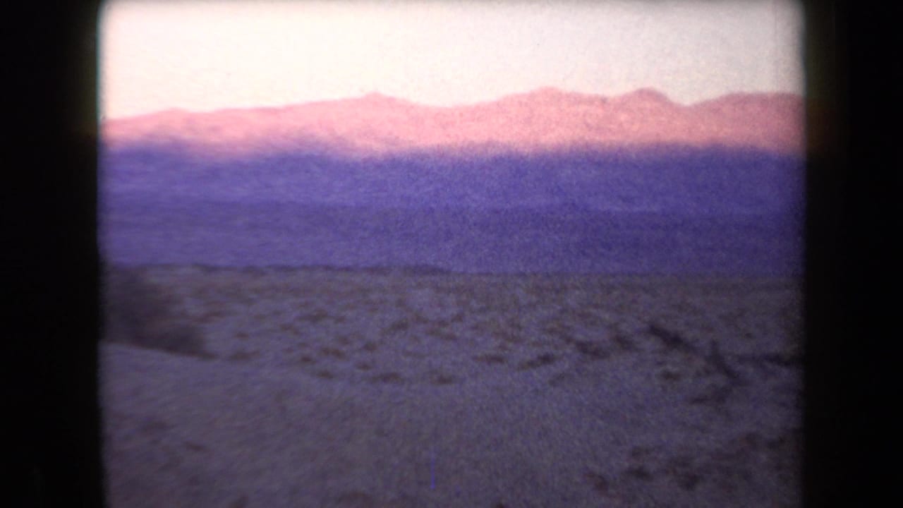 Distant mountains under a pale pink sky above sandy desert scrub.