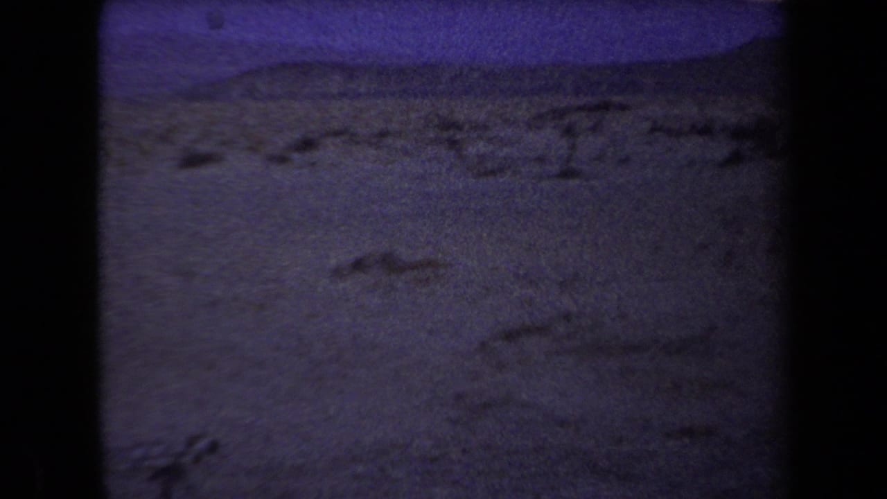 Arizona 1958 8mm frame showing a low-light desert plain beneath a purple twilight sky, with heavy grain and dark frame edges.