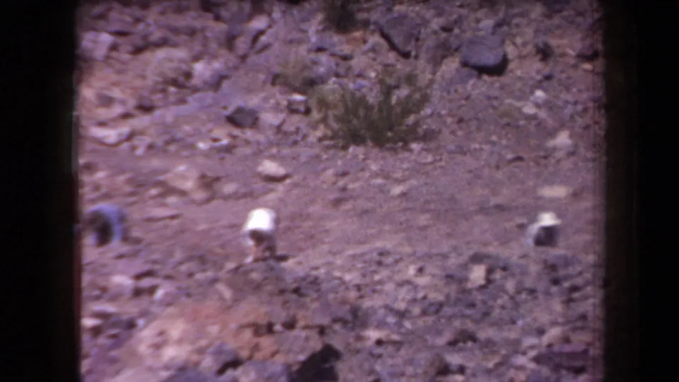 The frame looks down toward rocky desert ground with scattered stones, light objects, and a small plant near the excavation area.