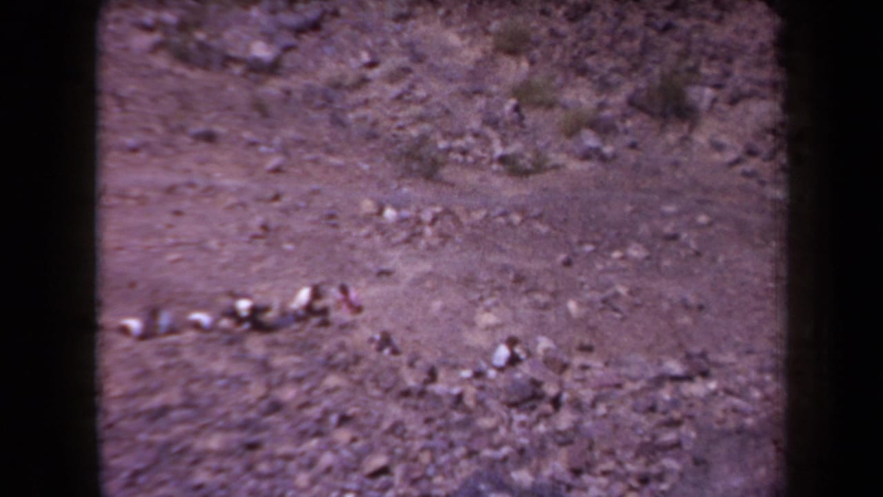 1958 Arizona 8mm frame showing a dusty rocky slope with scattered stones and sparse desert vegetation.