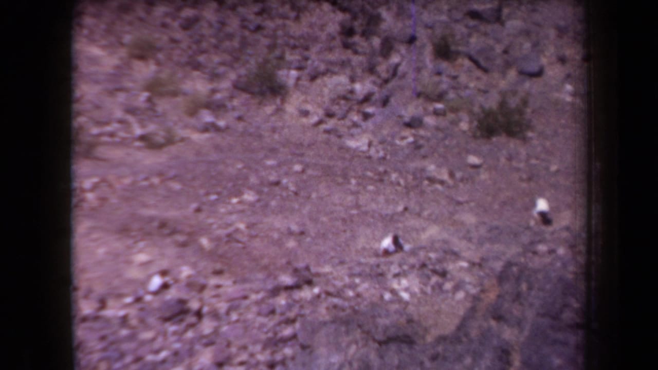 1958 Arizona 8mm frame of a rocky desert slope, sparse shrubs, and pale stones on uneven ground.