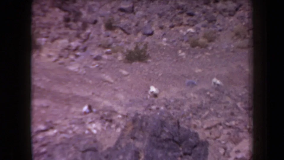 1958 Arizona 8mm frame looking toward a lower rocky hillside area with sparse shrubs and scattered stones.