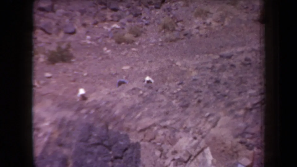 1958 Arizona 8mm frame showing dusty arid terrain, scattered rocks, scrubby plants, and a soft distant hillside.