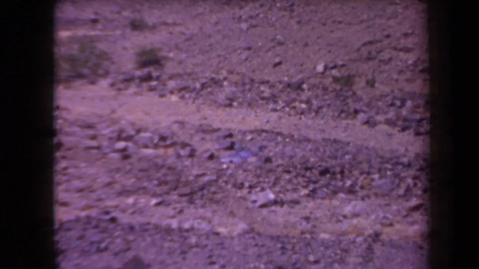 1958 Arizona 8mm frame showing arid rocky ground and sparse vegetation with soft focus and magenta color fading.