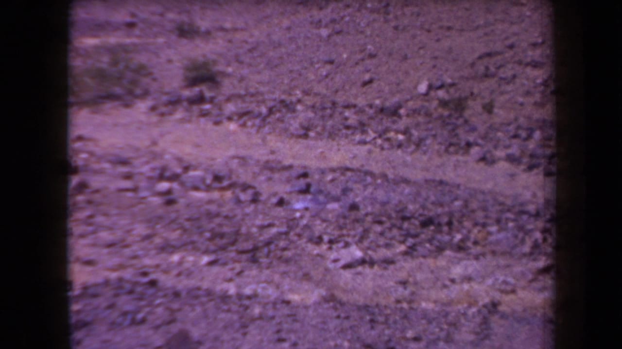 Rocky desert ground with sparse brush and purple-tinted 8mm film grain.
