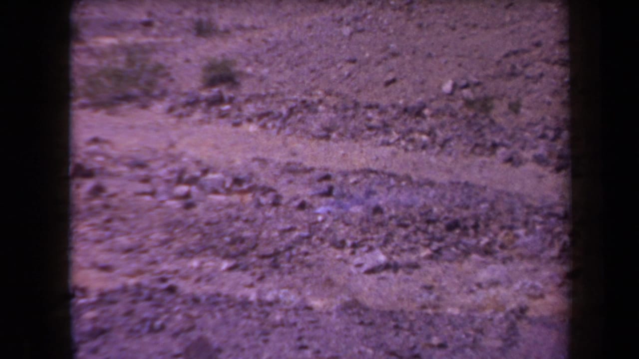 1958 Arizona home-movie frame with gravelly desert soil, scattered scrub, and visible purple-magenta fading from the 8mm scan.