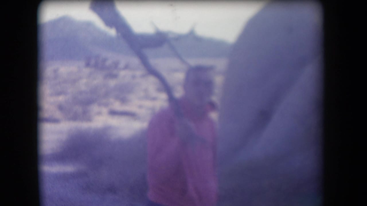 A person in a pink hooded sweatshirt stands in a hazy Arizona desert setting, with rocky hills and sparse vegetation in the background.