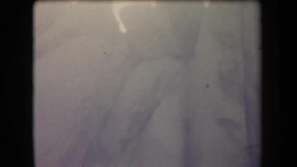 Washed-out 8mm frame from the Arizona clip, with only faint outlines of branches and the rocky outdoor setting visible.