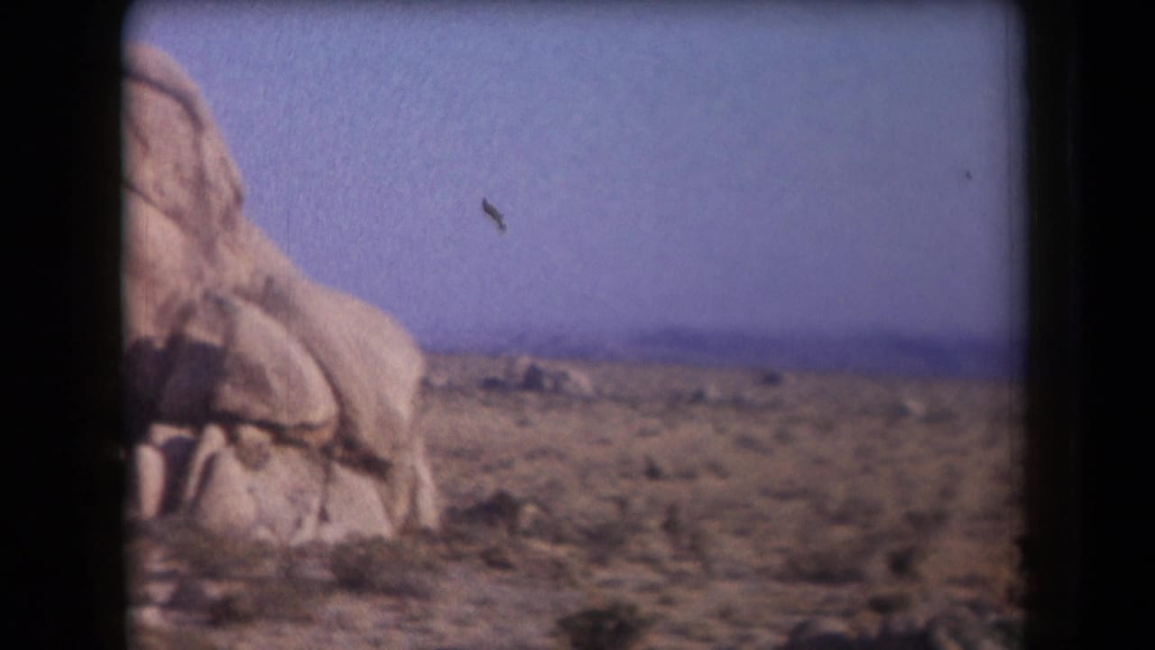 Rounded rock formation rising from desert scrub with mountains in the distance.