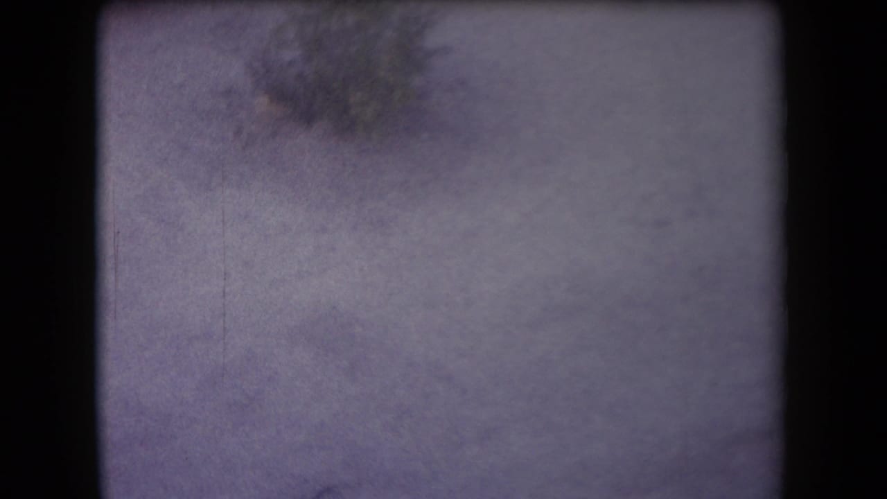Soft, nearly abstract opening frame from 1958 Arizona 8mm footage, with ground texture and film-frame edges visible.