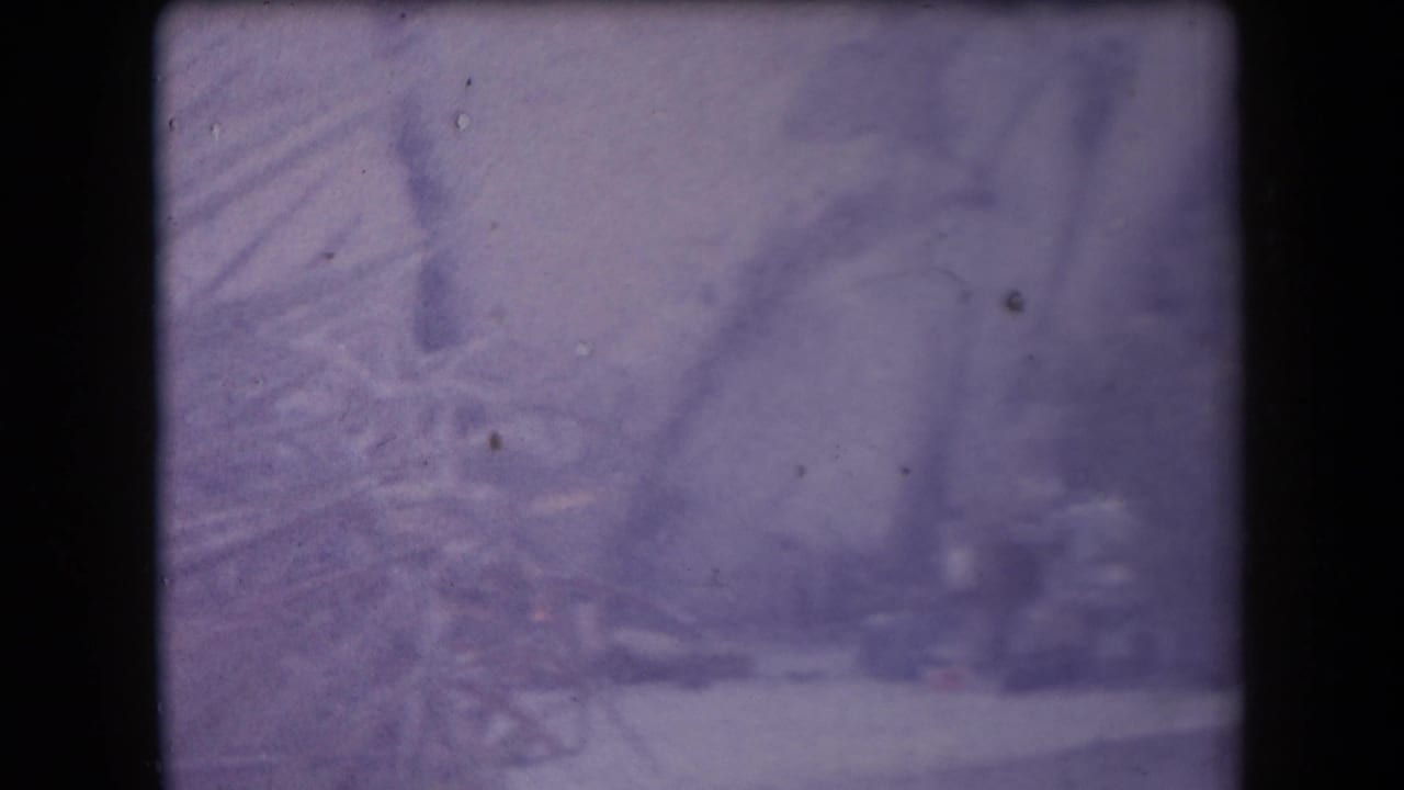 1958 Arizona home-movie frame showing a soft, purple-tinted desert view partly screened by palm-like fronds and film edges.