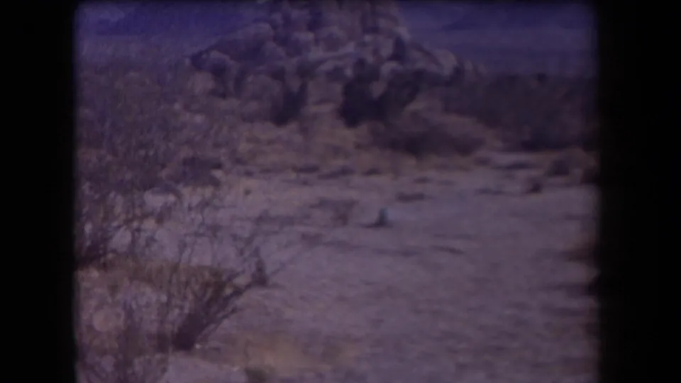 1958 Arizona home-movie frame showing rocky desert terrain, low shrubs, and soft purple-tinted 8mm texture.