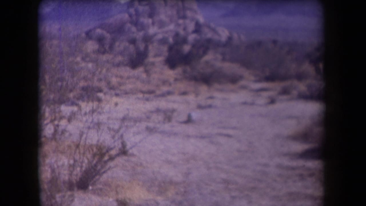 Similar desert view with sparse brush, rocky background, and dark film borders.