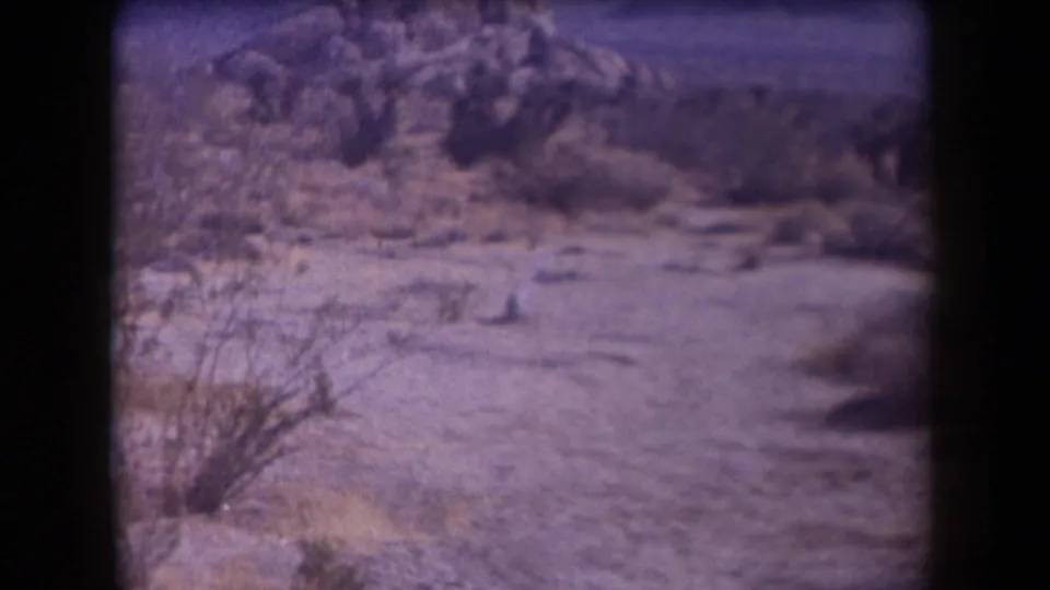 1958 Arizona home-movie frame showing scrub and rocky desert terrain moments before the explosion is visible.