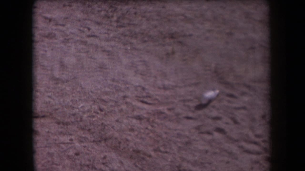 1958 Arizona 8mm frame showing reddish desert sand, shallow marks, scattered stones, and a small pale object in soft focus.
