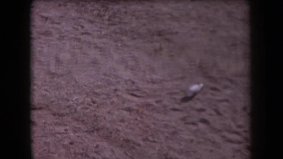 1958 Arizona 8mm frame showing reddish desert sand, shallow marks, scattered stones, and a small pale object in soft focus.