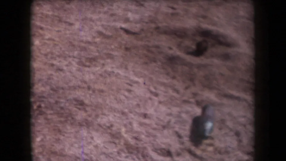 1958 Arizona 8mm frame showing a discarded glass bottle on reddish desert sand with shallow depressions and scattered stones.