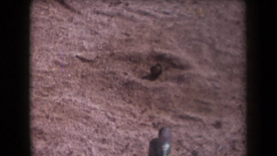 1958 Arizona desert close-up with a discarded glass bottle resting on reddish sand, surrounded by stones and shallow marks.