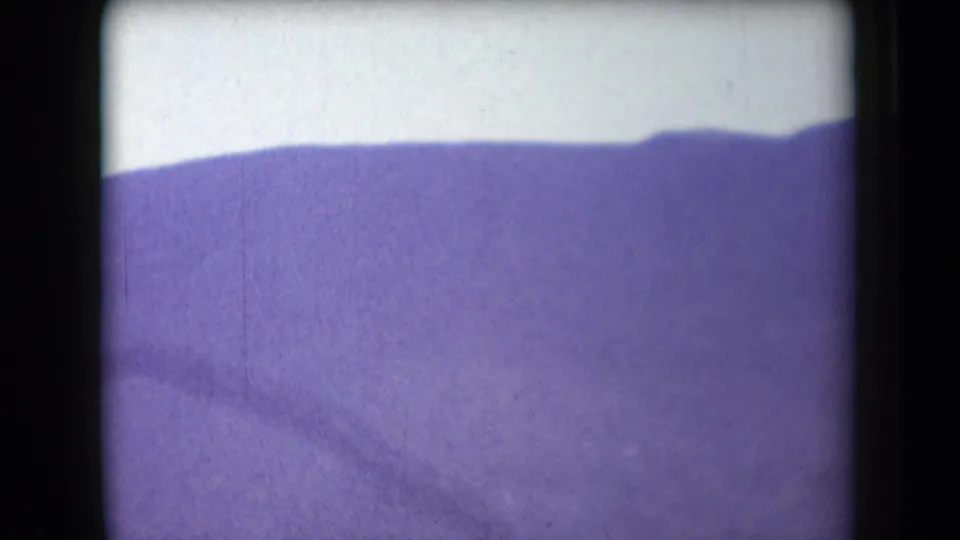 1958 Arizona landscape view with pale sky, broad purple hillside, soft focus, and visible 8mm film texture.
