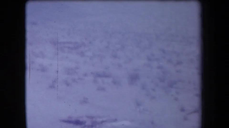 1958 Arizona 8mm frame showing sparse scrub across pale desert ground, with pronounced grain, softness, and dark film edges.