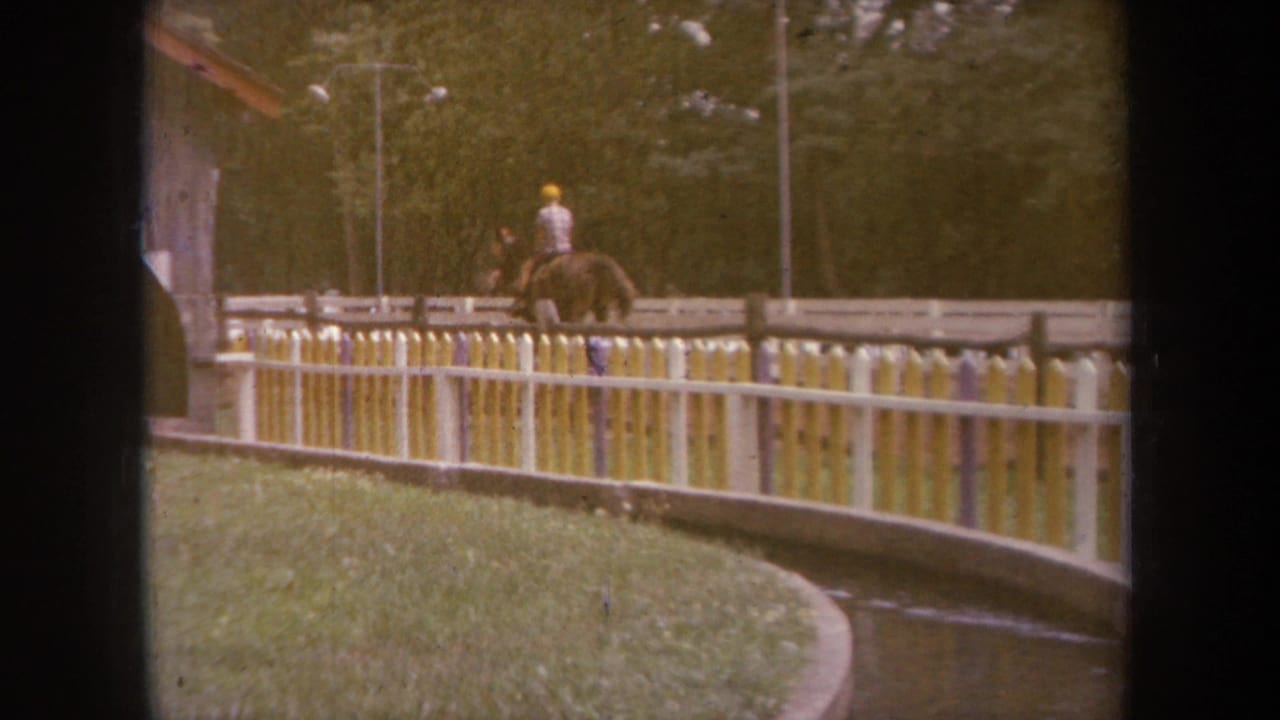 Horse rider on a curved fenced track beside grass and a narrow water channel.