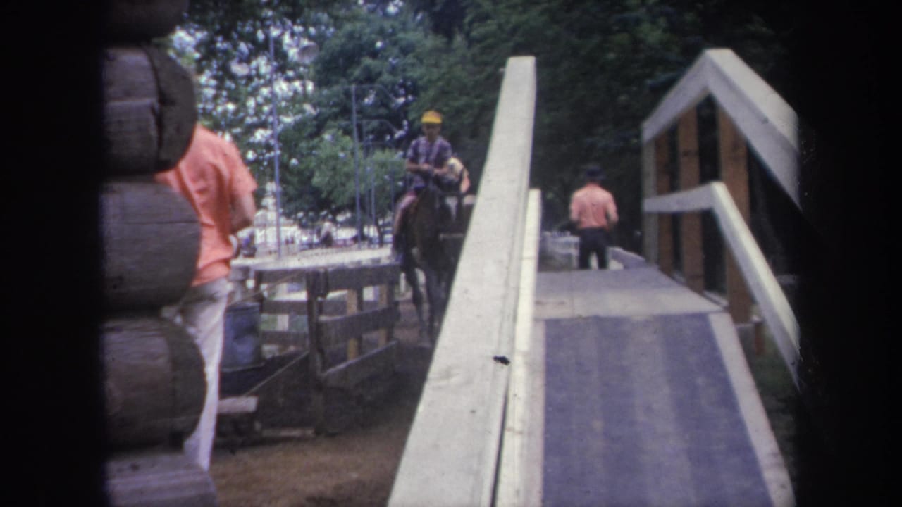 Horse rider beside a wooden bridge with pedestrians and trees in the background.