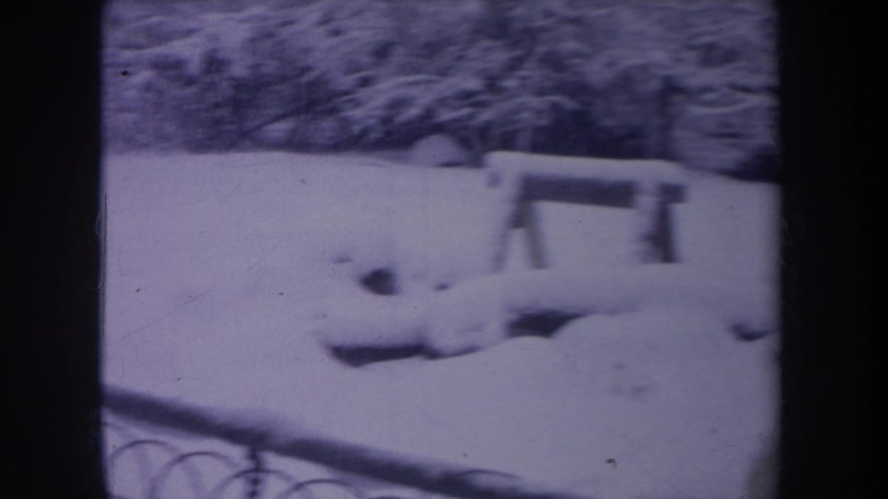 Snowy backyard with fence and bench, dog mostly out of view.
