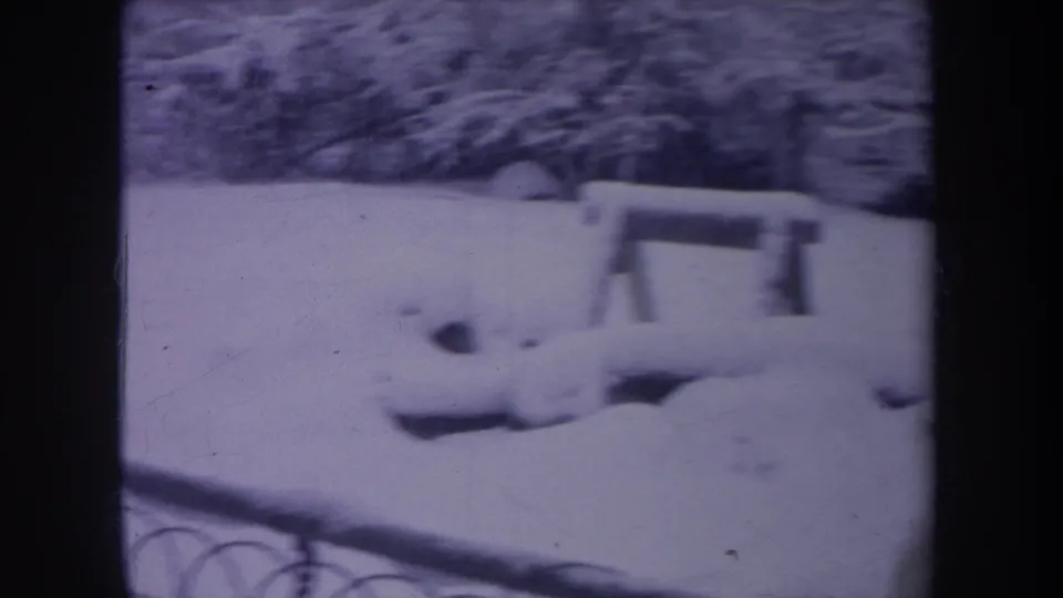 Snow-covered Michigan yard with a chain-link fence, bench, and soft purple-tinted 8mm film texture as the dog leaves the frame.