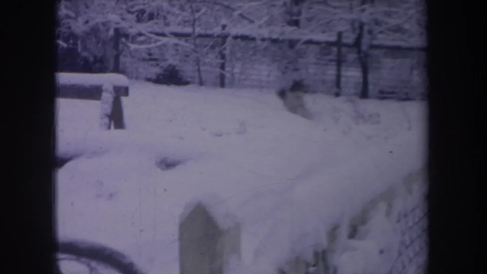 The dog appears blurred near the fence line in a snow-covered 1968 Michigan backyard, framed by aged 8mm film borders.
