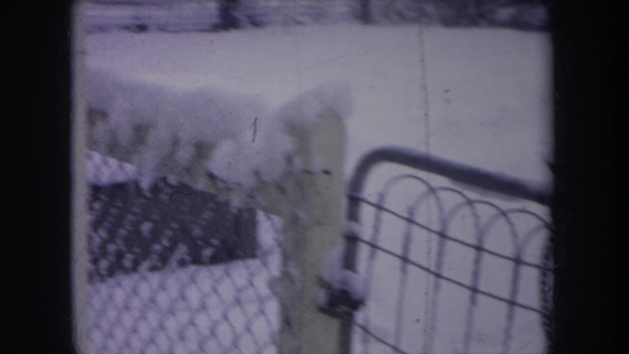 Snowy fenced backyard with a dark dog near a chain-link fence and house exterior.