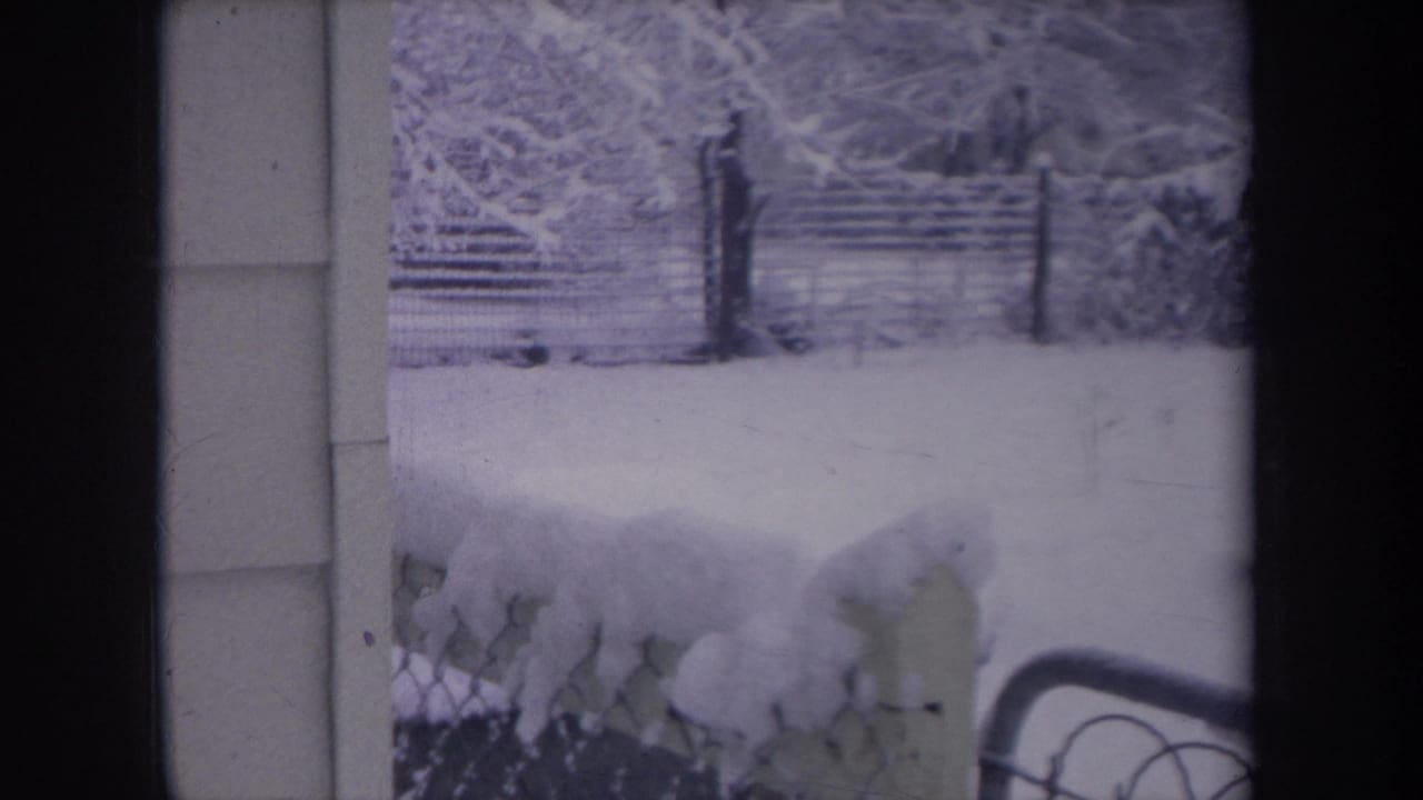 Snow-covered yard framed by house siding, fence, shrubs and part of a dog in snow.