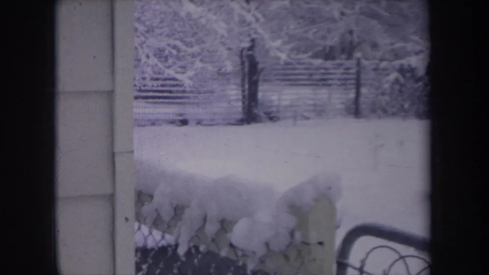 1968 Michigan backyard frame with deep snow, chain-link fencing, house siding and the dog partly visible near snow-covered plants.