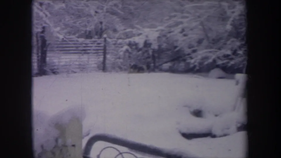 1968 Michigan home-movie frame showing the dog low in deep backyard snow, with chain-link fencing and snow-covered trees behind it.