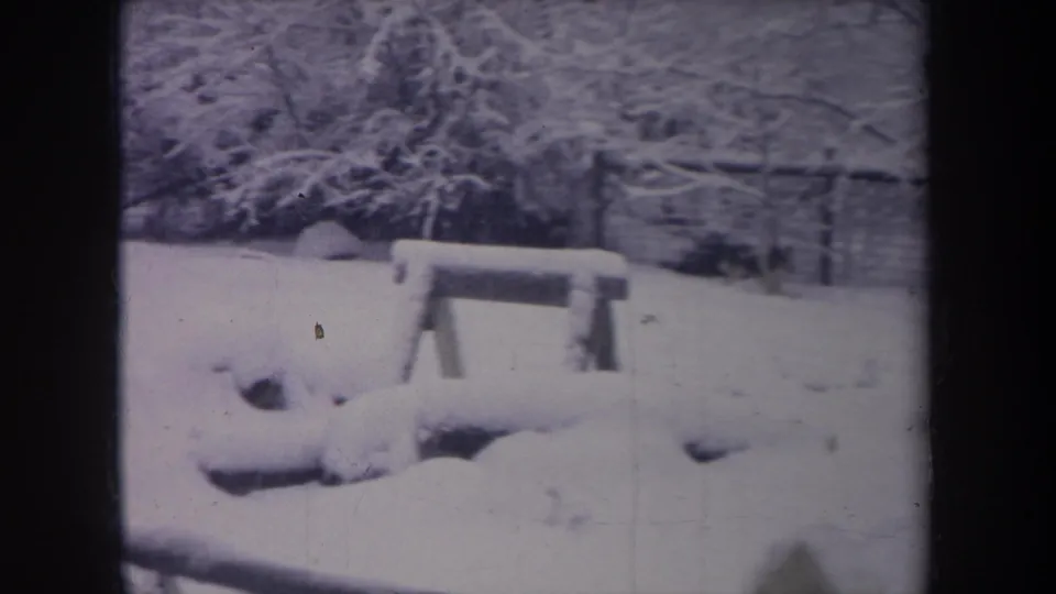 1968 Michigan backyard frame with a snow-covered bench, fences, winter trees and the dog partly visible at the lower edge.