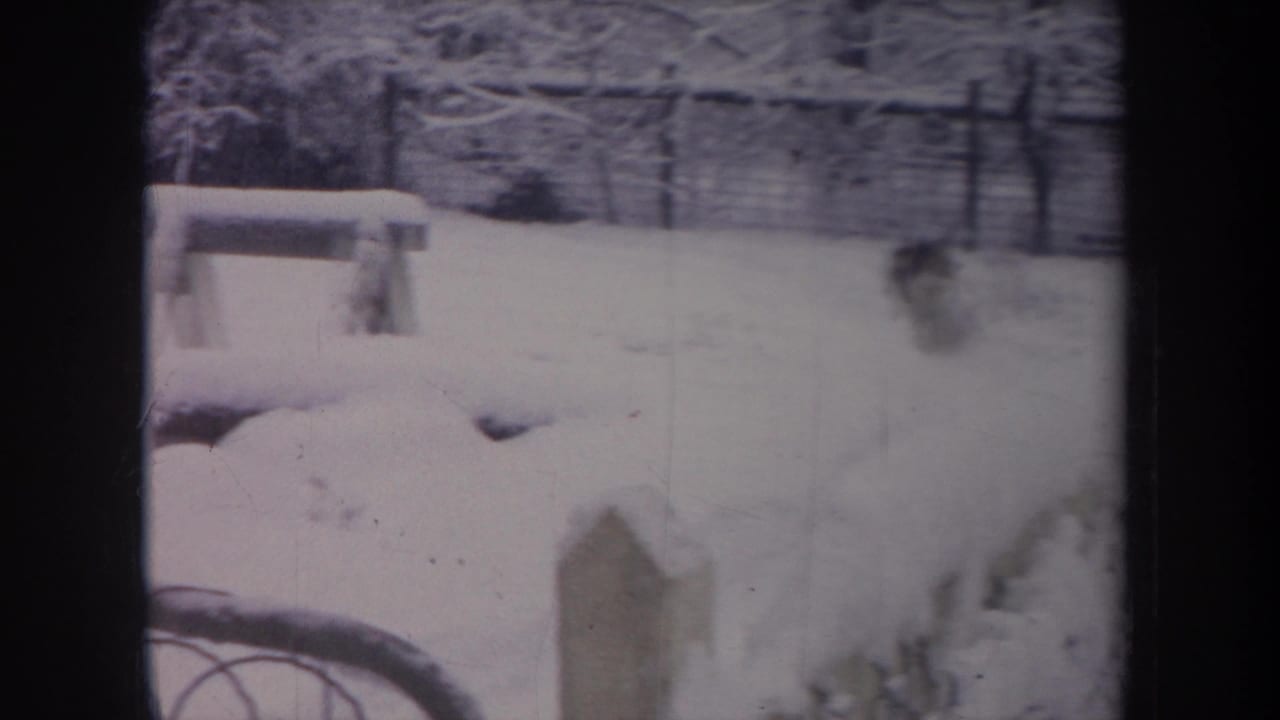 Fox in a snowy yard near a bench and fence.