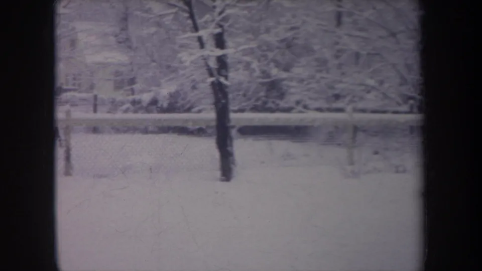 Snow-covered Michigan backyard with a tree trunk, fence, and bench visible in a soft 8mm winter frame.