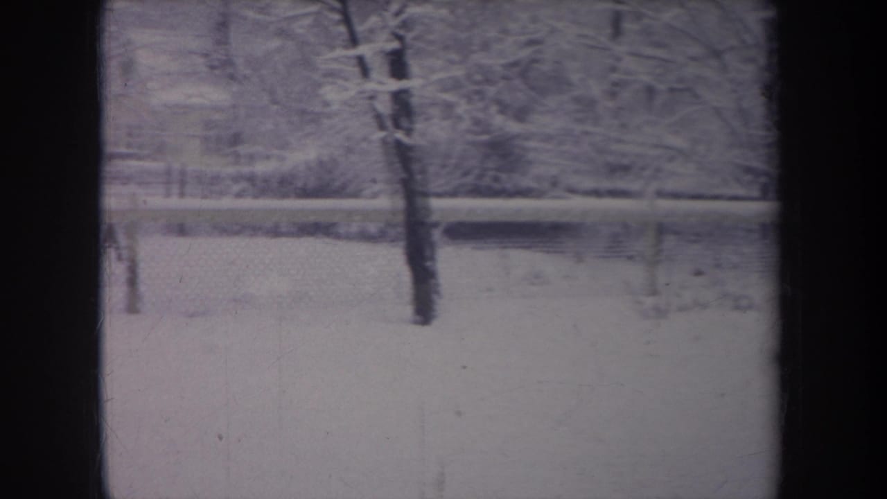 Snowy backyard seen through dark window framing, with bare trees and a fence beyond.